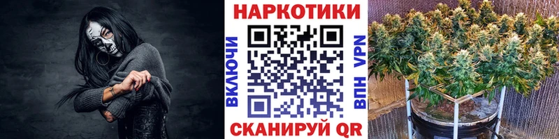 Магазины продажи наркотиков Губаха Псилоцибиновые грибы  Каннабис  Cocaine 