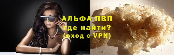 индика Балабаново