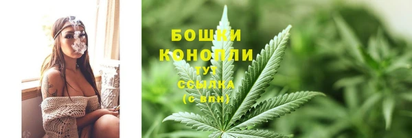 индика Балабаново