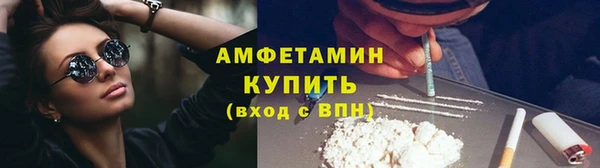 индика Балабаново