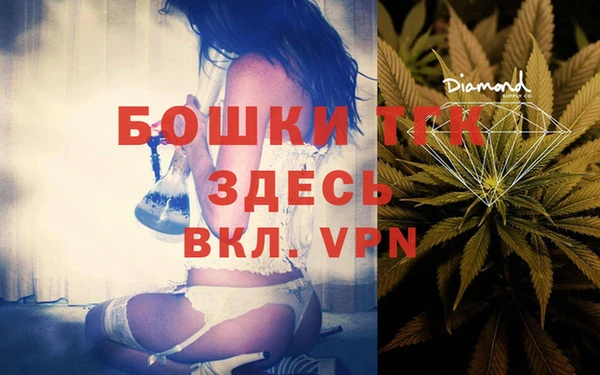 индика Балабаново