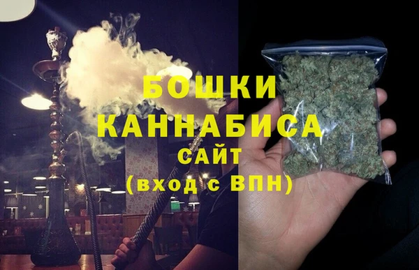 индика Балабаново