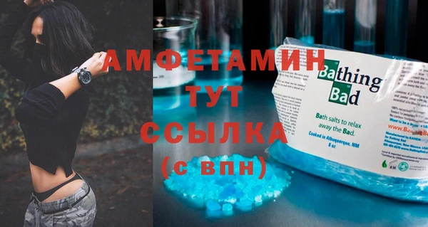 индика Балабаново