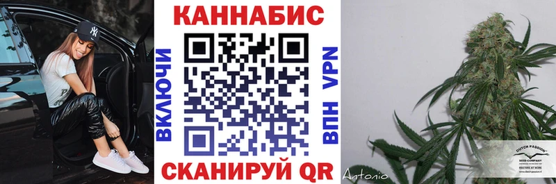 купить закладку  Губаха  Бошки Шишки тримм 